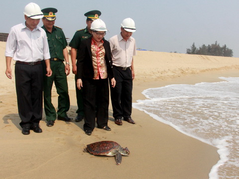 Mua được rùa biển nặng 6,3kg, nhà hàng quyết định phóng sinh