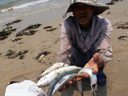 VIDEO: Tổng hợp sự cố cá chết hàng loạt ở miền Trung do Formosa gây ra