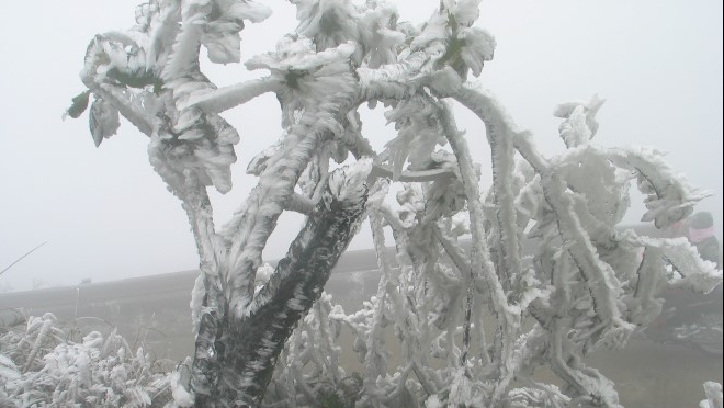 Hình ảnh đỉnh Mẫu Sơn lạnh âm độ, băng giá phủ trắng toát
