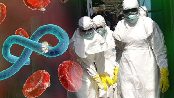 Bộ Y tế khuyến cáo cảnh giác phát hiện sớm, phòng lây nhiễm bệnh do vi rút Ebola 