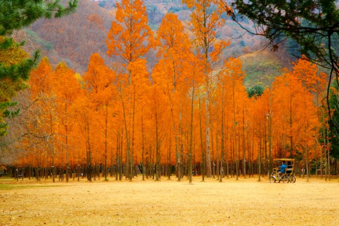 Những lễ hội mùa thu không thể bỏ qua ở xứ Hàn