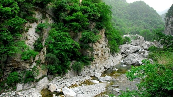thethaovanhoa.vn