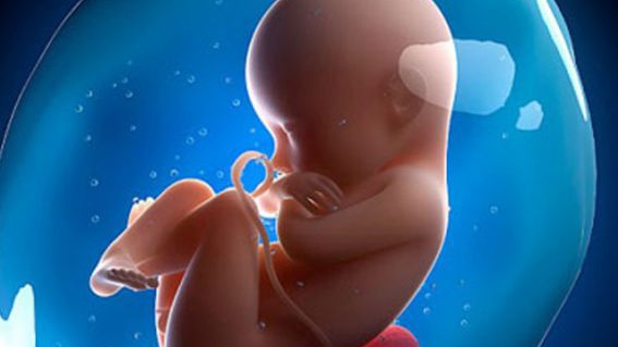 Bang Mississippi Mỹ thông qua luật cấm phá thai khi thai nhi có nhịp tim