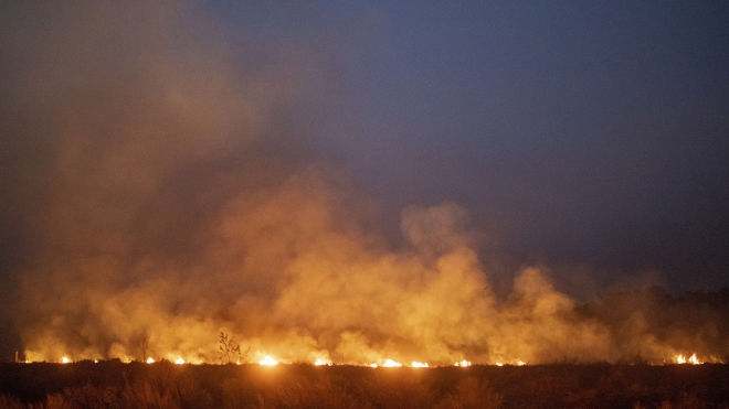 Cháy rừng Amazon tại Brazil tiếp tục lan rộng 