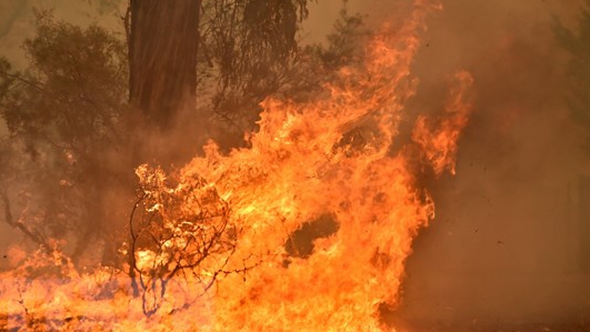 Cháy rừng phá hủy giá trị cuộc sống của người dân Australia như thế nào?