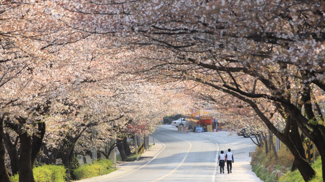 KTO tổ chức cuộc thi ảnh đẹp ‘Relive Your Korea Trip’