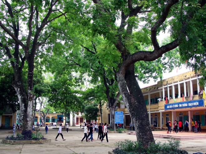 Chú thích ảnh
