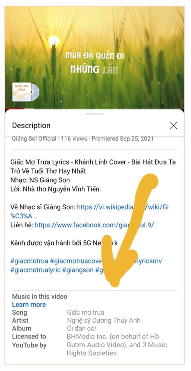 Chú thích ảnh