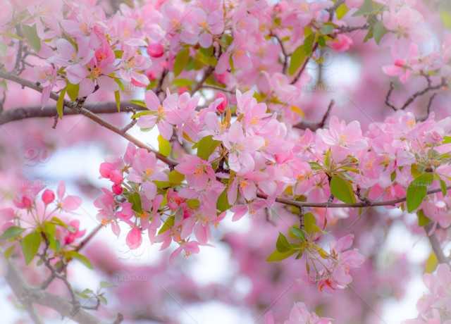 Tử vi ngày 1/1/2022 của cung hoàng đạo: Bọ Cạp bất an, bài học của Song Ngư tử vi hôm nay, tử vi 1/1/2022, tử vi ngày 1/1/2022của 12 cung hoàng đạo, tử vi ngày, tử vi đầu số, tử vi 1/1, xem tử vi, tử vi 2022, tử vi