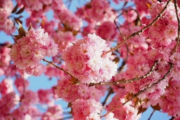 Ngày mùng 3 Tết của cung hoàng đạo: Xử Nữ cần cân nhắc, Nhân Mã kiên định tử vi hôm nay, tử vi 3/2/2022, tử vi ngày 3/2/2022của 12 cung hoàng đạo, tử vi ngày, tử vi đầu số, tử vi 3/2, xem tử vi, tử vi 2022, tử vi, mùng 3 Tết