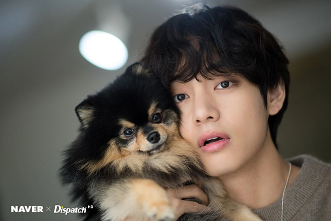 BTS, V BTS, V BTS bạn cùng phòng tệ nhất, 4 O’Clock, The Simpsons, Weverse, Yeontan