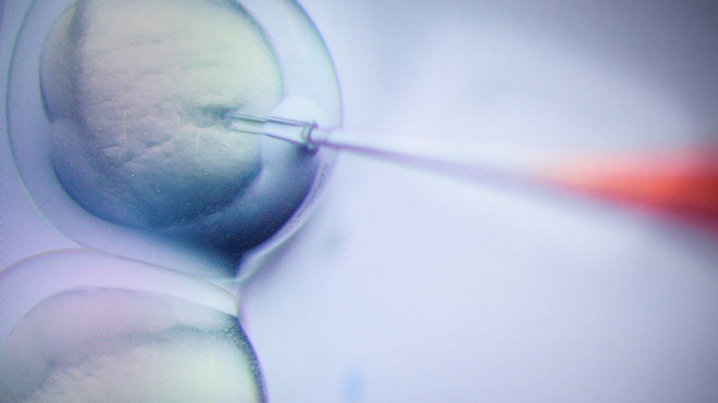 Trung Quốc tạm ngừng nghiên cứu về con người sau thí nghiệm 'biến đổi gien' trẻ sơ sinh gây chấn động