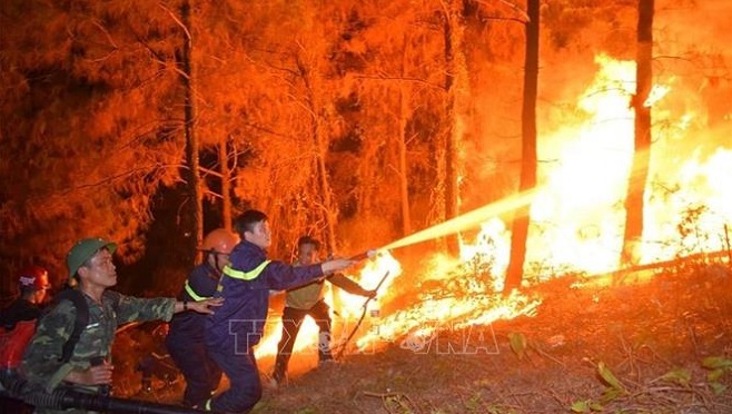 Cháy rừng tại Hà Tĩnh