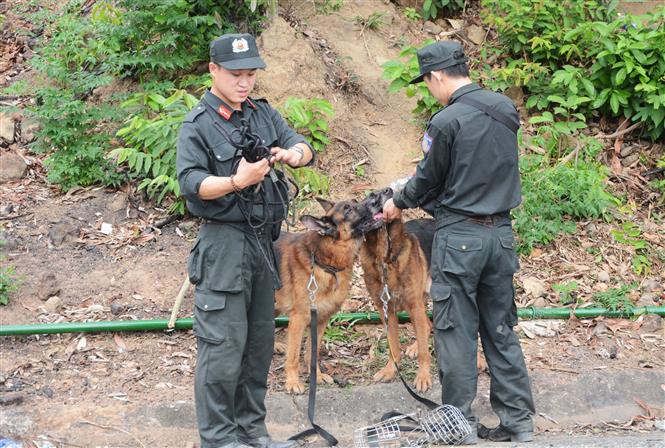 Trong ảnh: Lực lượng chức năng cho chó nghiệp vụ uống nước. Ảnh: Văn Dũng - TTXVN