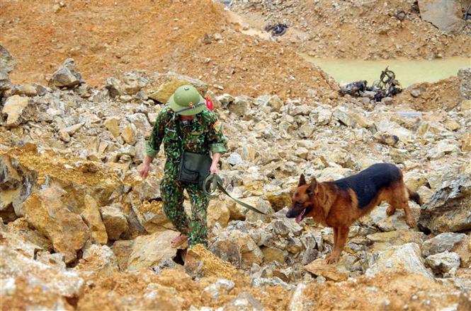 Chó nghiệp vụ tham gia tìm kiếm những nạn nhân mất tích tại Thủy điện Rào Trăng 3. Ảnh: TTXVN phát.