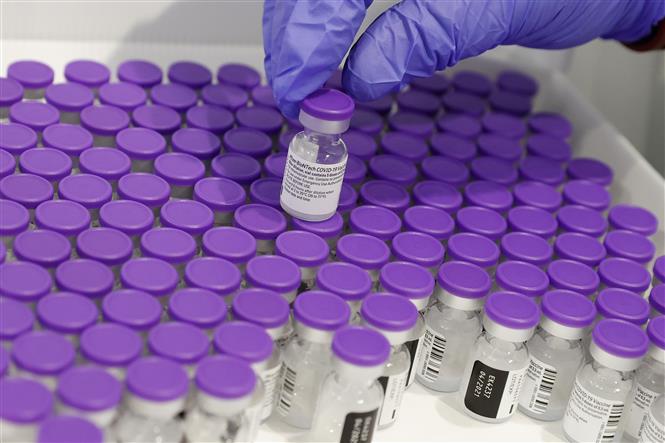 Vaccine ngừa COVID-19 của Pfizer-BioNtech . Ảnh: AFP/TTXVN