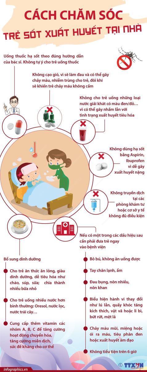 sốt xuất huyết, sốt xuất huyết ở trẻ, chăm sóc trẻ sốt xuất huyết, chăm sóc trẻ, chăm sóc trẻ sốt xuất huyết tại nhà, sốt xuất huyết chuẩn đón và điều trị