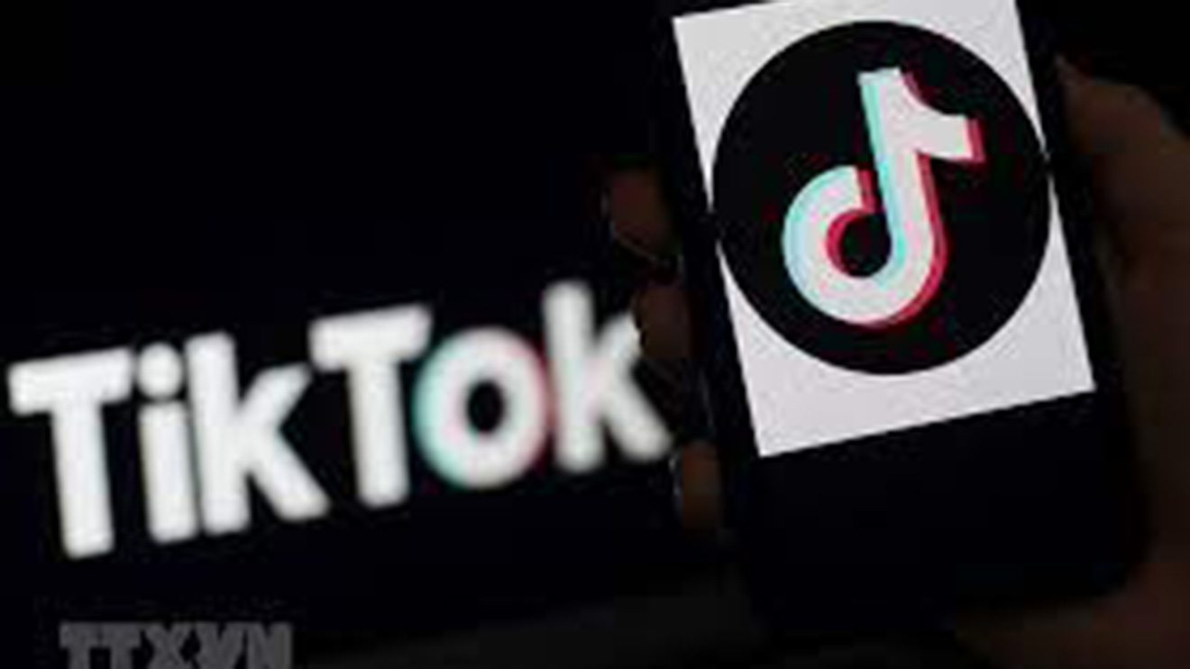TikTok, người dùng Tiktok, tài khoản Tiktok bị xóa