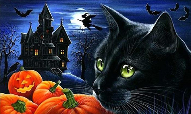 Halloween, Ngày Halloween, Ngày lễ Halloween, Lễ Halloween, lễ hội Halloween, đèn lồng bí ngô, mèo đen, phù thủy, biểu tượng Halloween, Halloween 2020