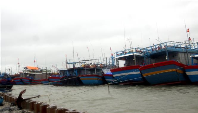 Bão số 5 suy yếu thành áp thấp nhiệt đới trên vùng biển Đà Nẵng đến Bình Định 