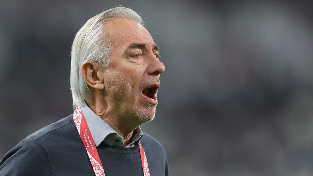 Van Marwijk, Hà Lan, trực tiếp bóng đá, UAE, Việt Nam, Park Hang Seo, vòng loại World Cup, bóng đá, bong da