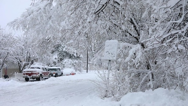 Bão tuyết khiến 1.000 người bị mắc kẹt tại bang Arizona, Mỹ