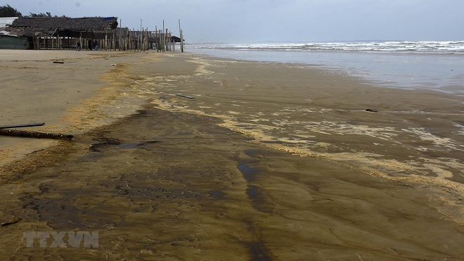 Nước biển đổi màu tại Quảng Ngãi: Xuất hiện hai chất Lignin và Tanin