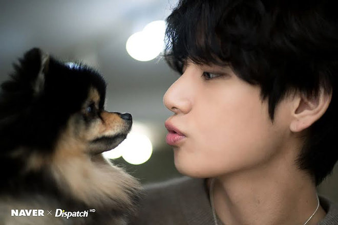 V BTS là biểu tượng đích thực của cung Ma kết BTS, V BTS, V BTS là biểu tượng của cung Ma kết, Jungkook, Jin, Jimin, Suga, bts