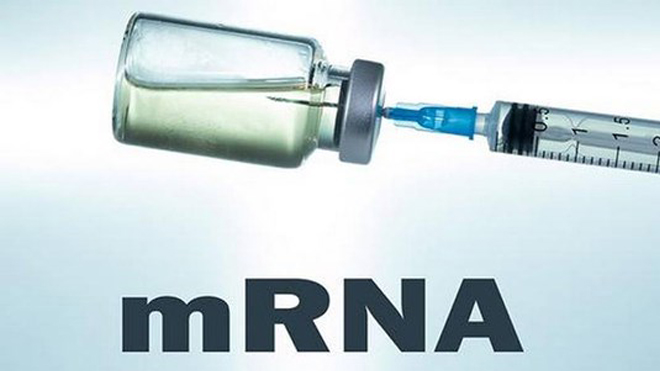 Mỹ phê duyệt tiêm vaccine mRNA ngừa Covid-19 cho trẻ 6 tháng đến 5 tuổi