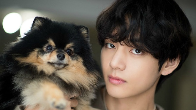  Đáng yêu như V BTS: Giúp một ARMY đặt tên siêu dễ thương cho cún cưng