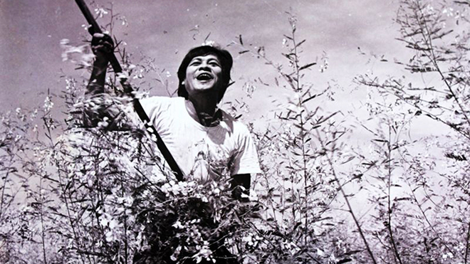 điện ảnh Việt Nam, lịch sử, phim Cánh đồng hoang, chung một dòng sông, điện ảnh cách mạng