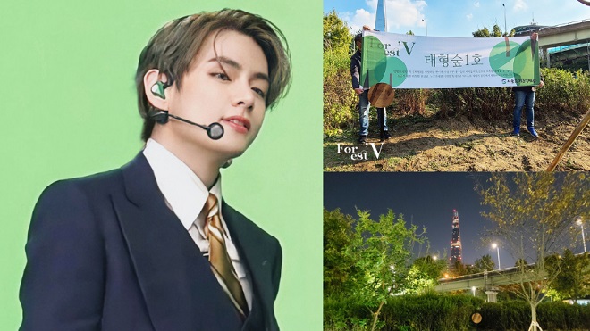 Fan BTS trồng ‘Rừng Taehyung’ xanh mướt gần sông Hàn
