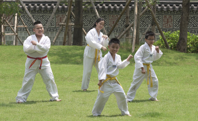 Đại sứ quán Hàn Quốc, Video chống dịch, Taekwonmu