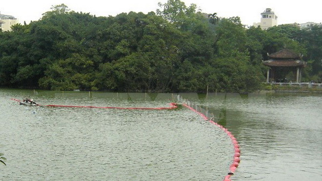 Cải tạo Hồ Gươm: không có chuyện thay thế, trồng lại cây xanh ven hồ