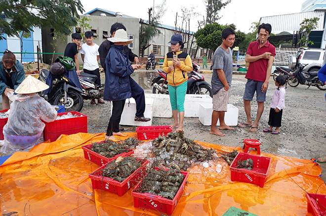 Bão số 9, Tin bão số 9, Cơn bão số 9, Tin bão, Tin bão mới, Bão số 9 năm 2018, không khí lạnh, dự báo thời tiết, đường đi bão số 9, tin bão khẩn cấp, cường độ bão số 9