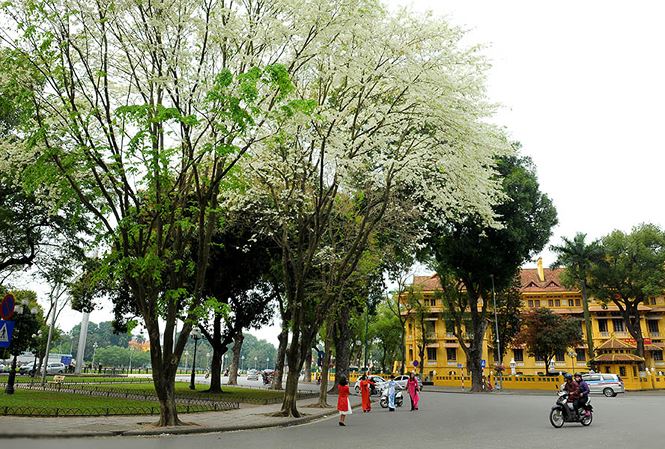 Dự báo thời tiết, Không khí lạnh, Thời tiết cuối tuần, Tin thời tiết, Thời tiết, thời tiết tuần tới, thời tiết hà nội, gió mùa đông bắc, thời tiết hôm nay, tin thoi tiet