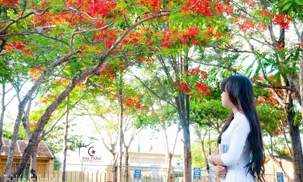 Tra cứu điểm thi Nghệ An, Tra cứu điểm thi vào lớp 10 nghệ an, Tra cứu điểm thi, tra cứu điểm thi vào lớp 10 ở Nghệ an, tra cứu điểm thi lớp 10 nghệ an, điểm thi nghệ an