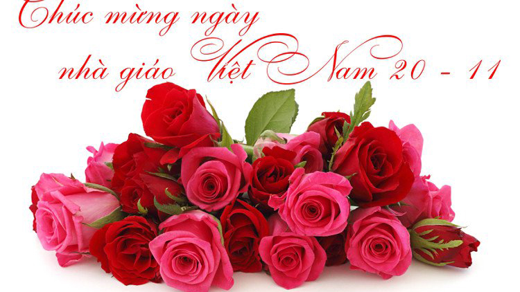 Lời chúc 20 11, Lời chúc 20/11, lời chúc ngày 20 tháng 11, Lời chúc thầy cô, Ngày 20/11, lời chúc ngày nhà giáo việt nam, ngày nhà giáo việt nam, Lời chúc 20/11 hay nhất