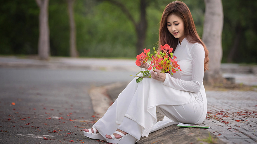 Lời chúc 20 11, Lời chúc 20/11, lời chúc ngày 20 tháng 11, Lời chúc thầy cô, Ngày 20/11, lời chúc ngày nhà giáo việt nam, ngày nhà giáo việt nam, Lời chúc 20/11 hay nhất