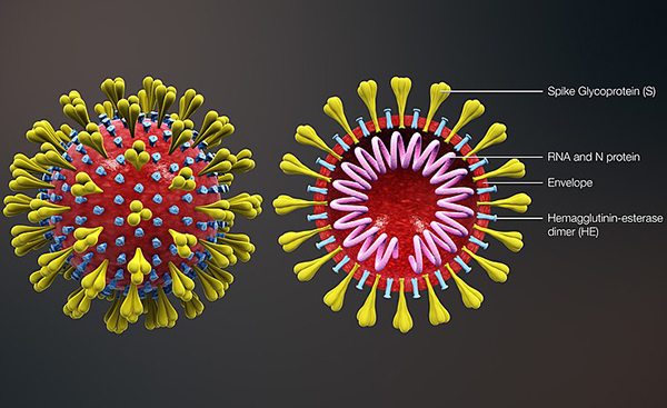 Khẩu trang phát sáng khi phát hiện virus SARS-CoV-2